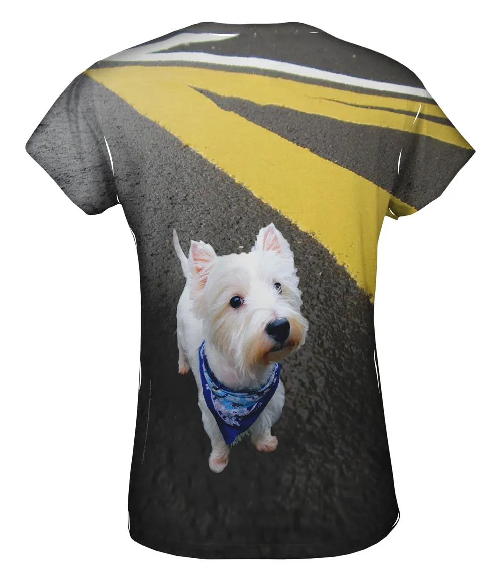 Asphalt Kicking Westie