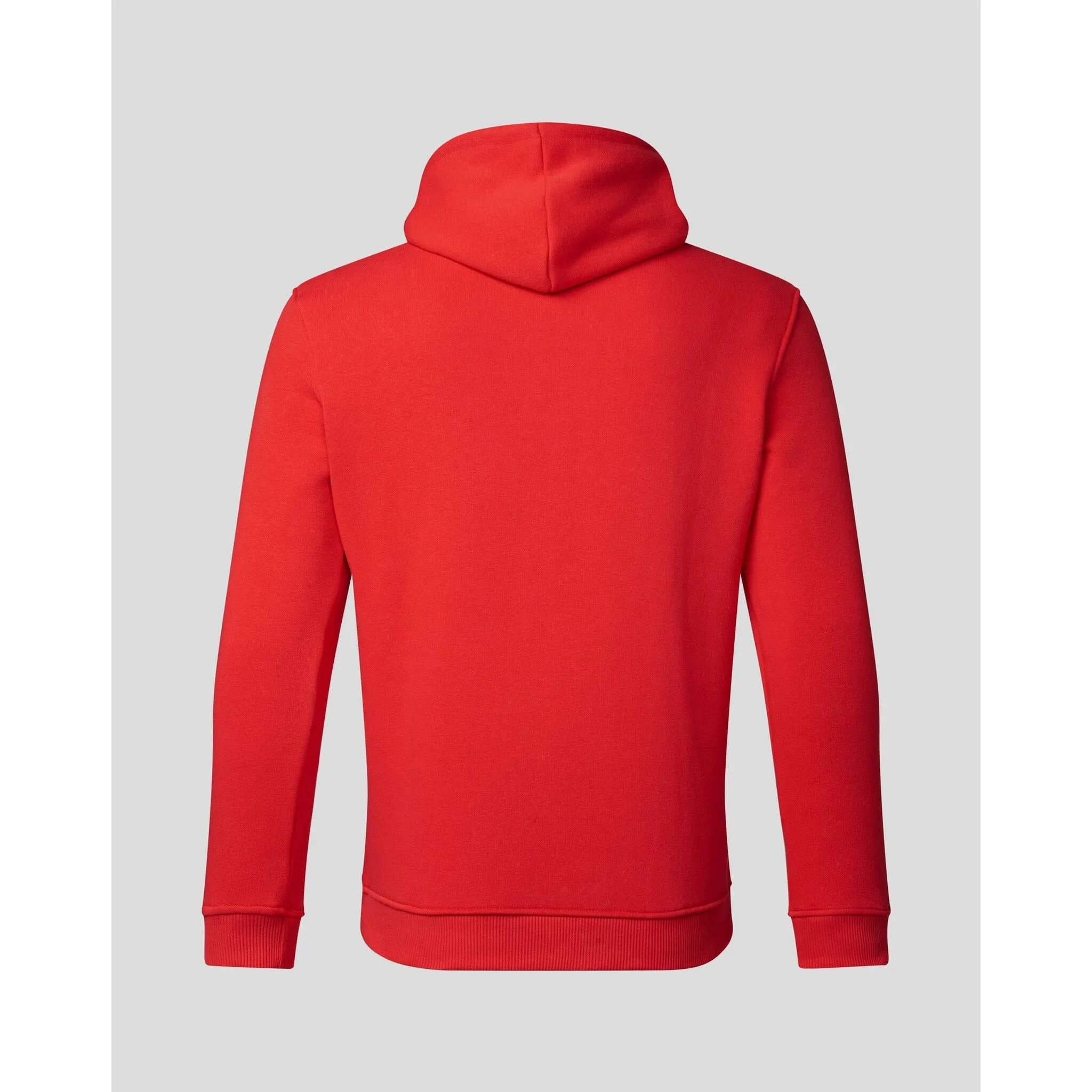 Red Bull Racing F1 Core Overhead Hoodie - Flame Scarlet/Grey/Night Sky