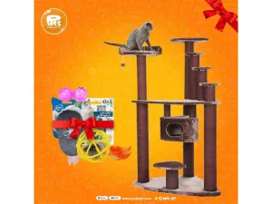 SCRATCHING TREE COMFORT PLUS ROCKY MOUNTAIN with cat toys